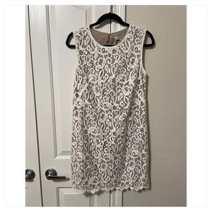 NWT Ann Taylor Loft Lace Sheath Dress